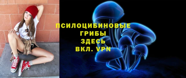 дживик Аркадак