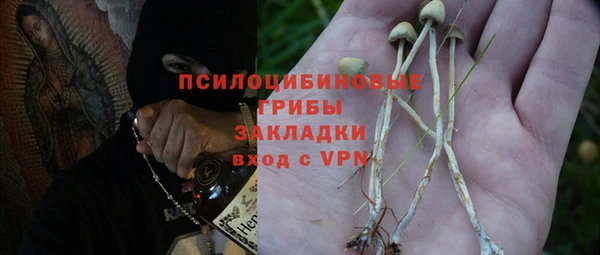 крисы Алексеевка
