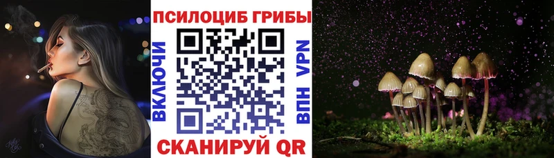 сколько стоит  Златоуст  Галлюциногенные грибы мухоморы 