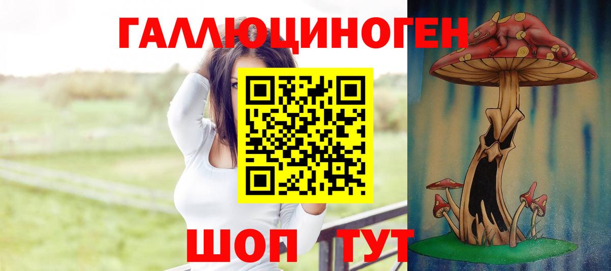Псилоцибиновые грибы Psilocybe  Вход с VPN  Галлюциногенные грибы GOLDEN TEACHER  Златоуст 
