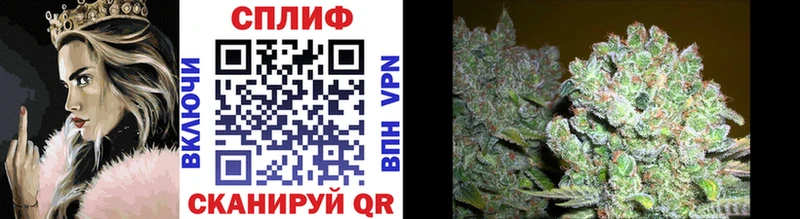Конопля OG Kush Златоуст